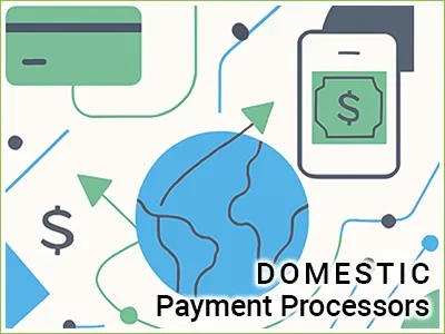 Domestic Payment Processors, processor overviews, domestic processors