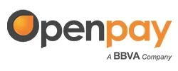OpenPay Payment Processor, International Payment Processor